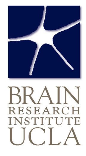 brain research institute ucla